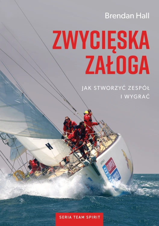 teamspirit_seriaOkladka1